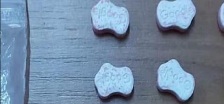 Detuvieron a 12 argentinos en la República Oriental del Uruguay por tráfico de drogas