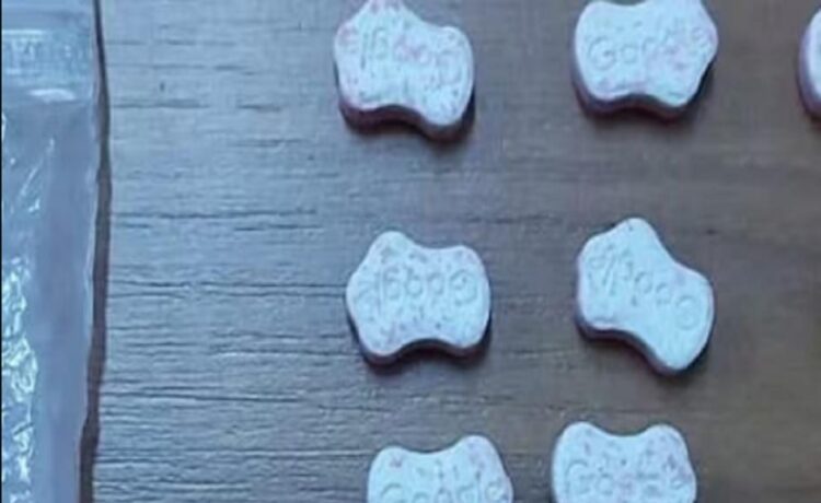 Detuvieron a 12 argentinos en la República Oriental del Uruguay por tráfico de drogas