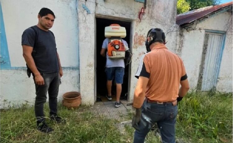 Entre Ríos: Detectaron caso de hantavirus en la costa del Uruguay y realizaron operativo de bloqueo sanitario