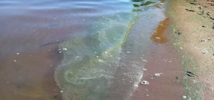 Prohibido bañarse. Según el programa de vigilancia de CARU, las playas del lago de Salto Grande están en rojo