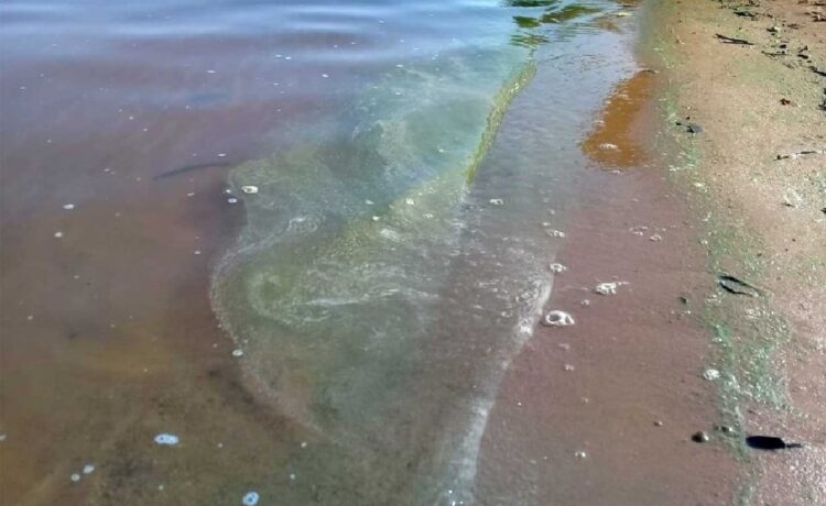 Prohibido bañarse. Según el programa de vigilancia de CARU, las playas del lago de Salto Grande están en rojo