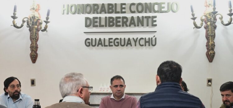 Davico encabezó una reunión regional para diseñar estrategias sanitarias