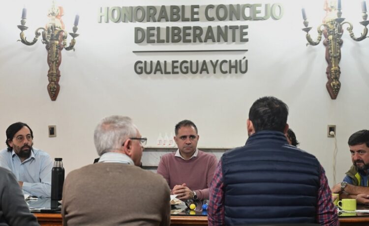 Davico encabezó una reunión regional para diseñar estrategias sanitarias