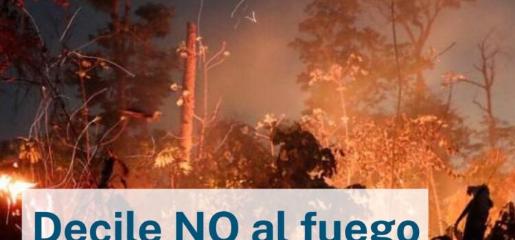 Entre Ríos refuerza la prohibición de quemas: medidas preventivas para Gualeguaychú