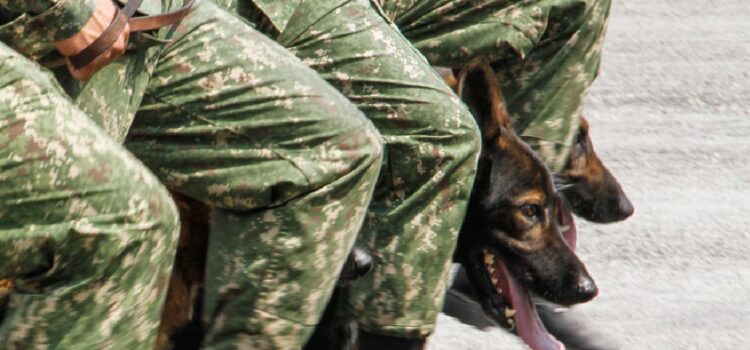 Uruguay: Exsoldado brindó información sobre enterramientos de víctimas de dictadura