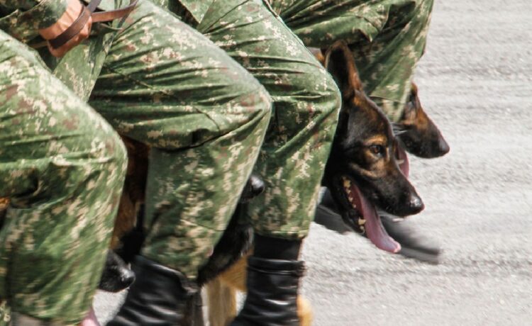 Uruguay: Exsoldado brindó información sobre enterramientos de víctimas de dictadura