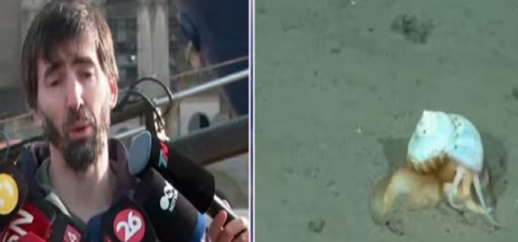 “Vimos muchas especies que no sabíamos que existían”: la emoción del investigador líder de la expedición submarina al llegar a Buenos Aires