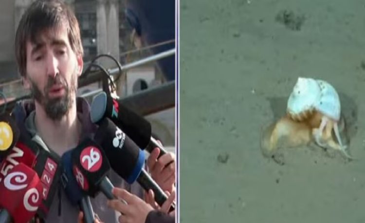 “Vimos muchas especies que no sabíamos que existían”: la emoción del investigador líder de la expedición submarina al llegar a Buenos Aires