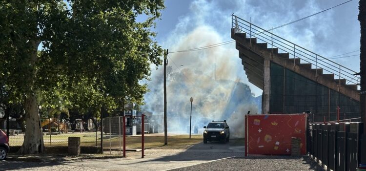 Primera etapa de fumigación contra el dengue