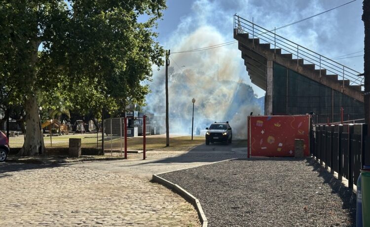 Primera etapa de fumigación contra el dengue