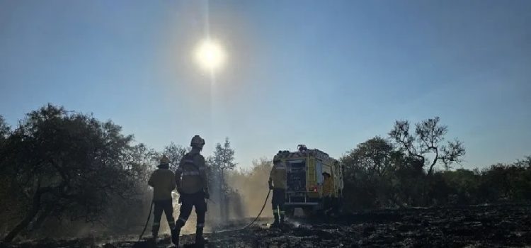 Milei eliminó el fondo para el manejo del fuego y las heladas agravan la posibilidad de incendios