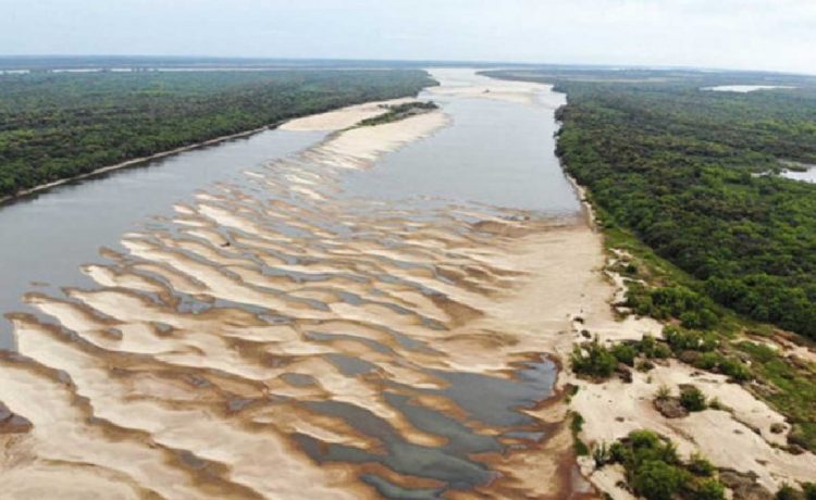 Islas vecinas a la futura planta de HIF Global fueron incorporadas al “Sistema de Áreas Protegidas”