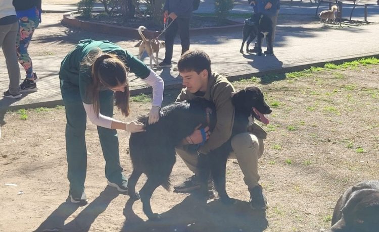 Exitosa jornada de vacunación antirrábica en Plaza Urquiza