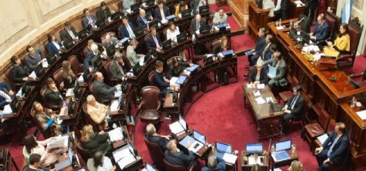 El Senado tratará la semana que viene la ley vetada por Milei sobre prestaciones en discapacidad