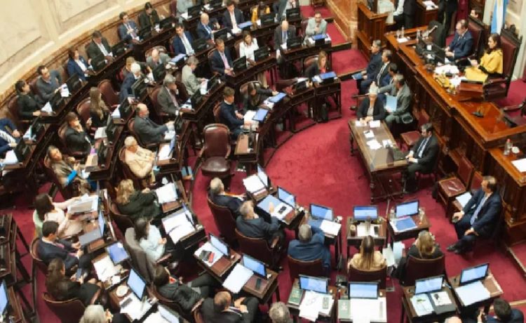 El Senado tratará la semana que viene la ley vetada por Milei sobre prestaciones en discapacidad