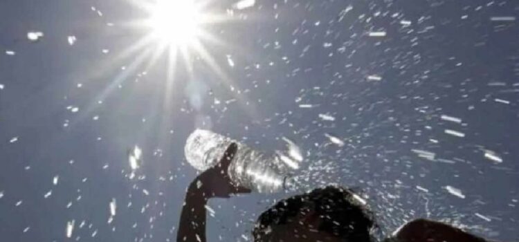 Emitieron un pronóstico para la segunda quincena de enero: ¿Hará más calor?