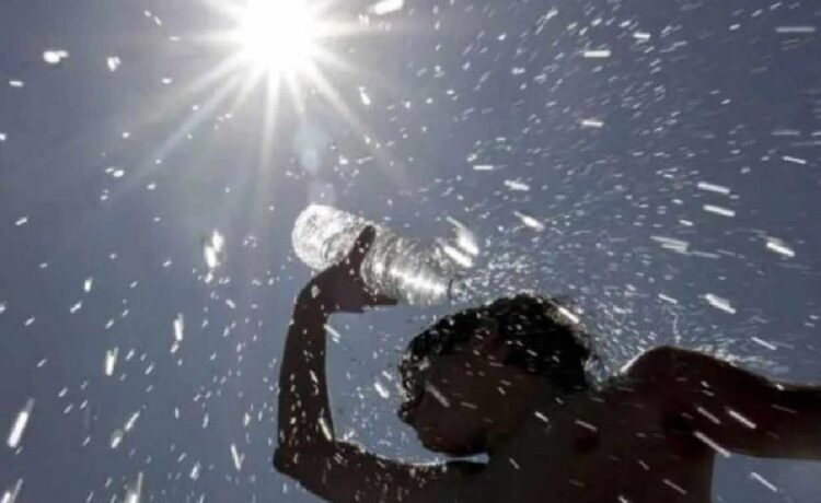Emitieron un pronóstico para la segunda quincena de enero: ¿Hará más calor?