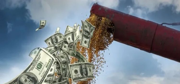 El agro se consolida como la actividad más importante de la economía uruguaya
