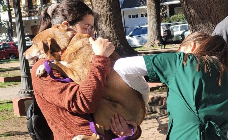 Nueva jornada de vacunación antirrábica en Plaza Haddad