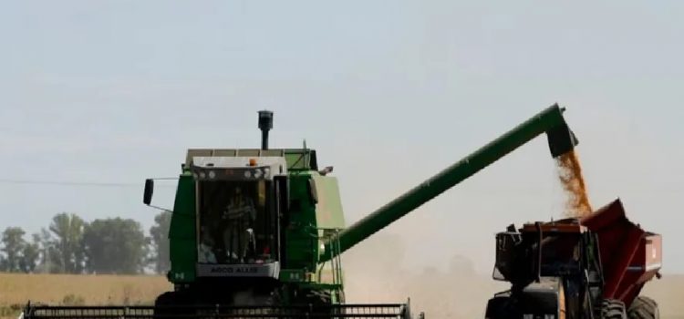 Para aumentar la oferta de dólares, no habrá retenciones a los granos hasta el 31 de octubre