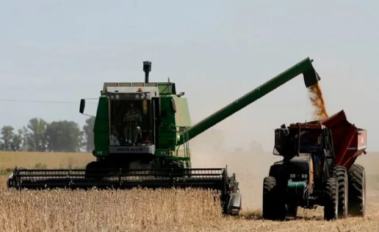 Para aumentar la oferta de dólares, no habrá retenciones a los granos hasta el 31 de octubre