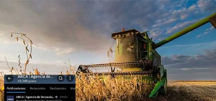 Se llegó a los US$ 7000 millones liquidados y vuelven las retenciones. “La vemos pasar”, lamentan pequeños productores