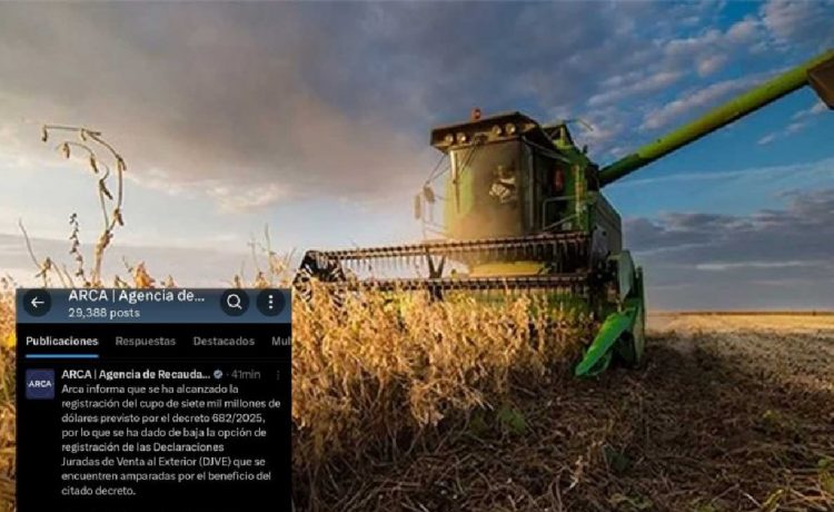 Se llegó a los US$ 7000 millones liquidados y vuelven las retenciones. “La vemos pasar”, lamentan pequeños productores