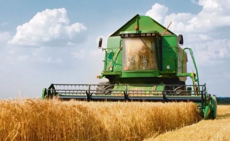 Productores desilusionados. “Ascendí al cerro con la noticia de que sacaban las retenciones y cuando bajé todo había terminado”