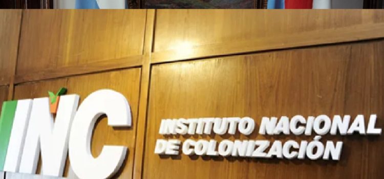 Más presupuesto para seguridad, menos para Colonización, la propuesta del Partido Colorado