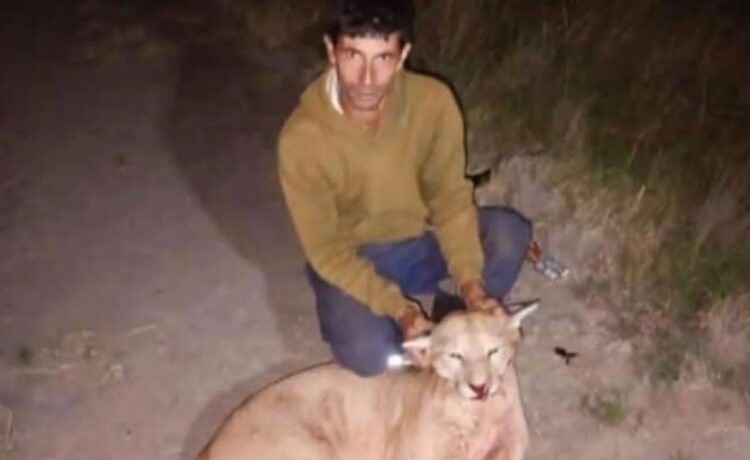 Larroque: indignación por un cazador que mató un puma y lo ostentó en redes