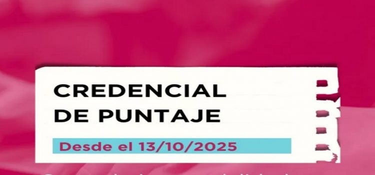 Entre Ríos: El CGE habilita la consulta del Analítico Provisorio de Credencial de Puntaje Digital