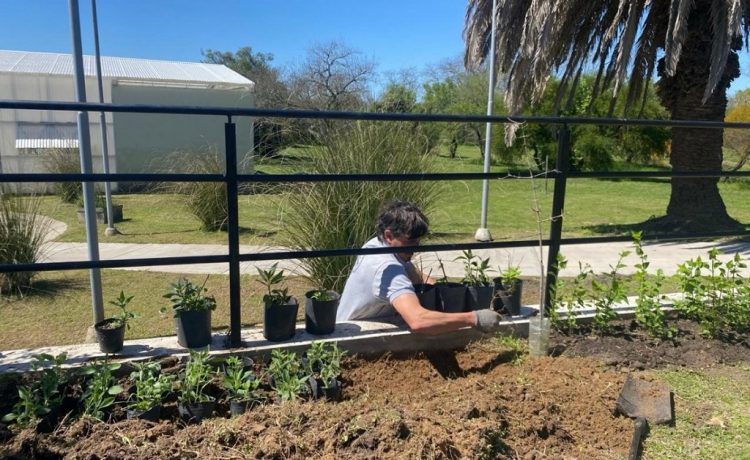 Se creó un jardín de mariposas y picaflores en La Delfina