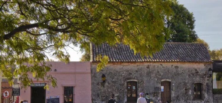 Colonia también vive una buena temporada con 80% de ocupación