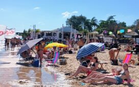 Más de 35.000 personas han elegido Ñandubaysal durante enero