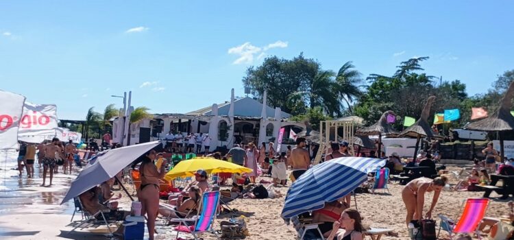 Más de 35.000 personas han elegido Ñandubaysal durante enero