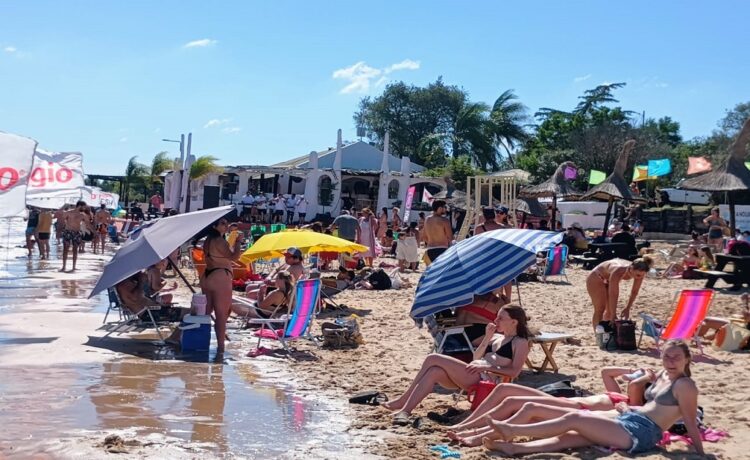 Más de 35.000 personas han elegido Ñandubaysal durante enero