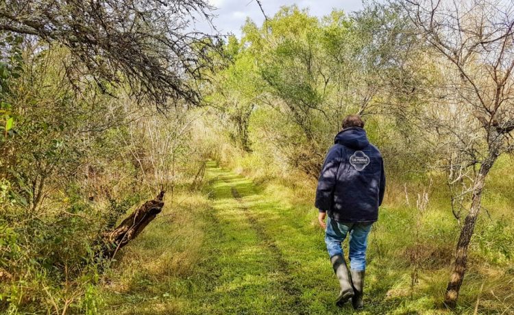 Gualeguaychú avanza en la planificación integral de la Reserva Natural Las Piedras