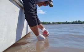 Gualeguaychú se prepara para una temporada segura en el río