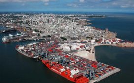 Incautan casi 400 kilos de cocaína en un contenedor con arroz que salió de Montevideo