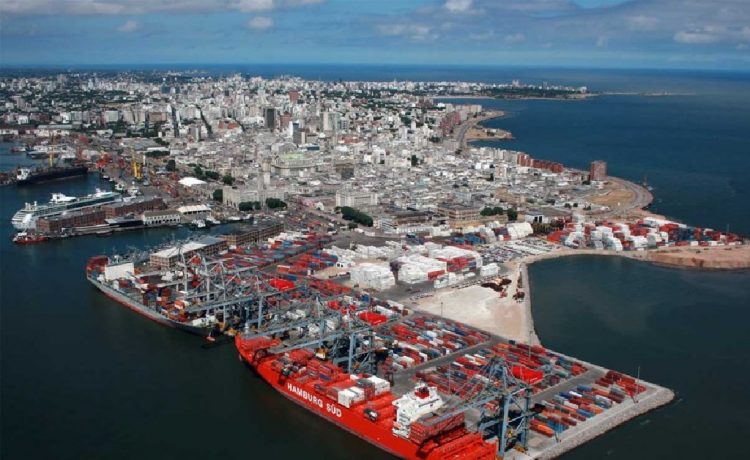 Incautan casi 400 kilos de cocaína en un contenedor con arroz que salió de Montevideo