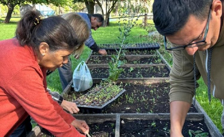 ¿Querés ser parte? Se abre la convocatoria al Centro de Día de Personas Mayores “De Cara al Sol”