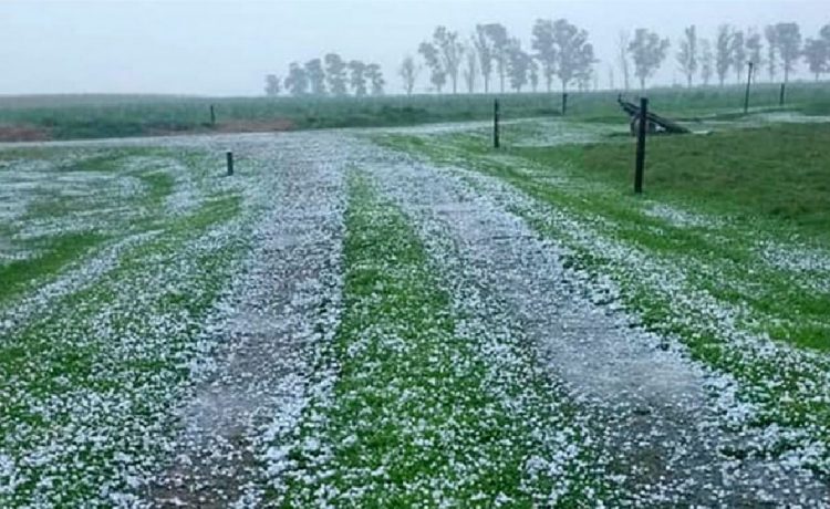 Emitieron alerta amarilla por tormentas y granizo para siete departamentos de Entre Ríos
