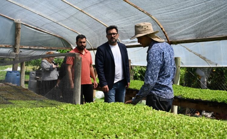 El Gobierno impulsa el desarrollo de Hortalizas del Sur a través del Área de Cooperativas