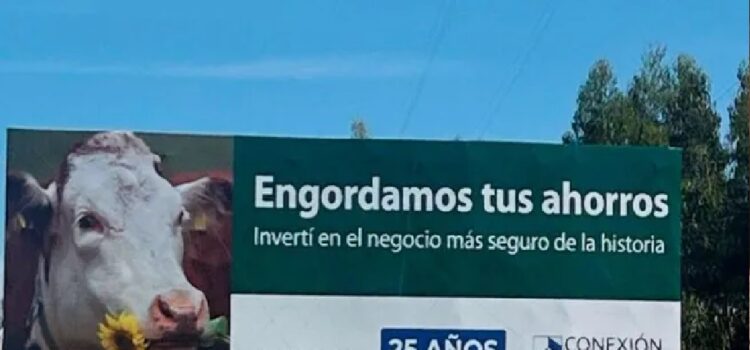 ¿Qué implica la intervención judicial de Conexión Ganadera?