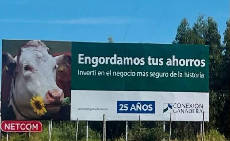 ¿Qué implica la intervención judicial de Conexión Ganadera?