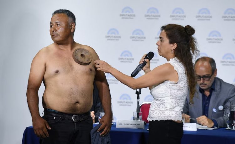 Diblasi, la biotecnóloga antivacunas que expuso en el Congreso admite que sabía del estudio del Conicet que la contradecía: su palabra