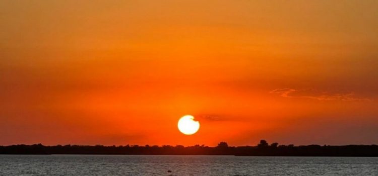 Ola de calor: recomendaciones para cuidarse y prevenir riesgos ante las altas temperaturas