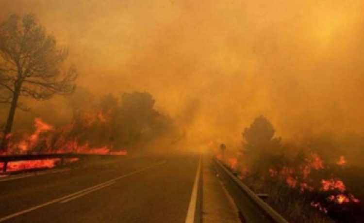 Baudino: “La negligencia de los gobiernos son un combustible para las quemas”