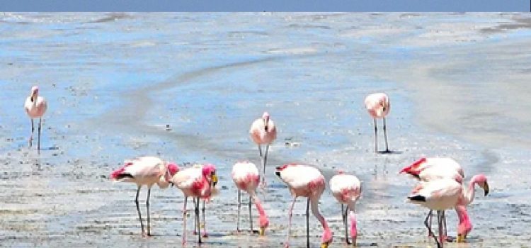 ¿Por qué Uruguay fue distinguido como uno de los mejores lugares del mundo para viajar?