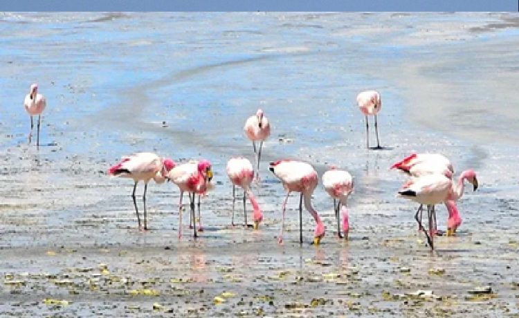 ¿Por qué Uruguay fue distinguido como uno de los mejores lugares del mundo para viajar?